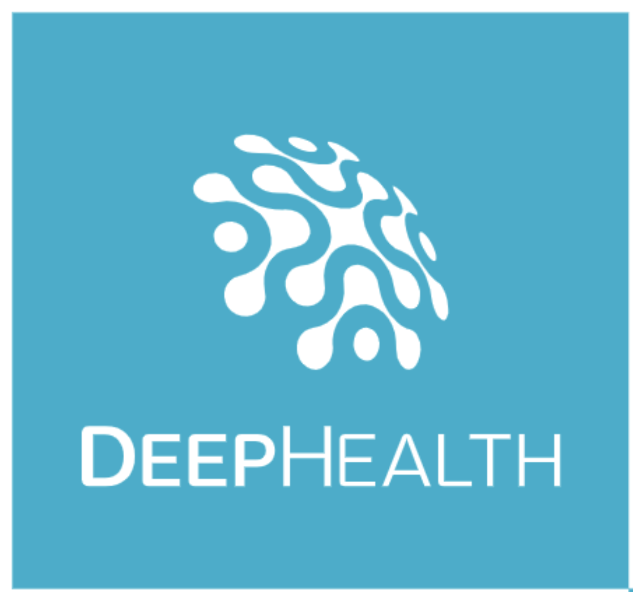 DeepHealth winter school